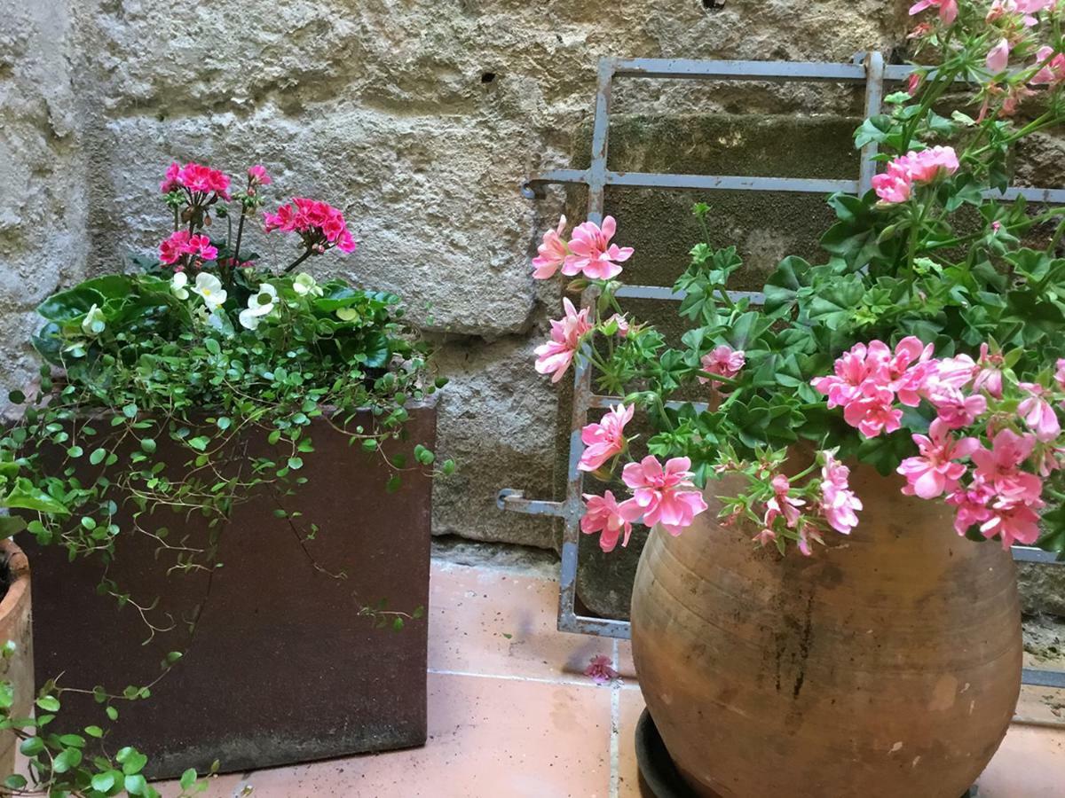 Appartement Arles Centre Historique Екстер'єр фото